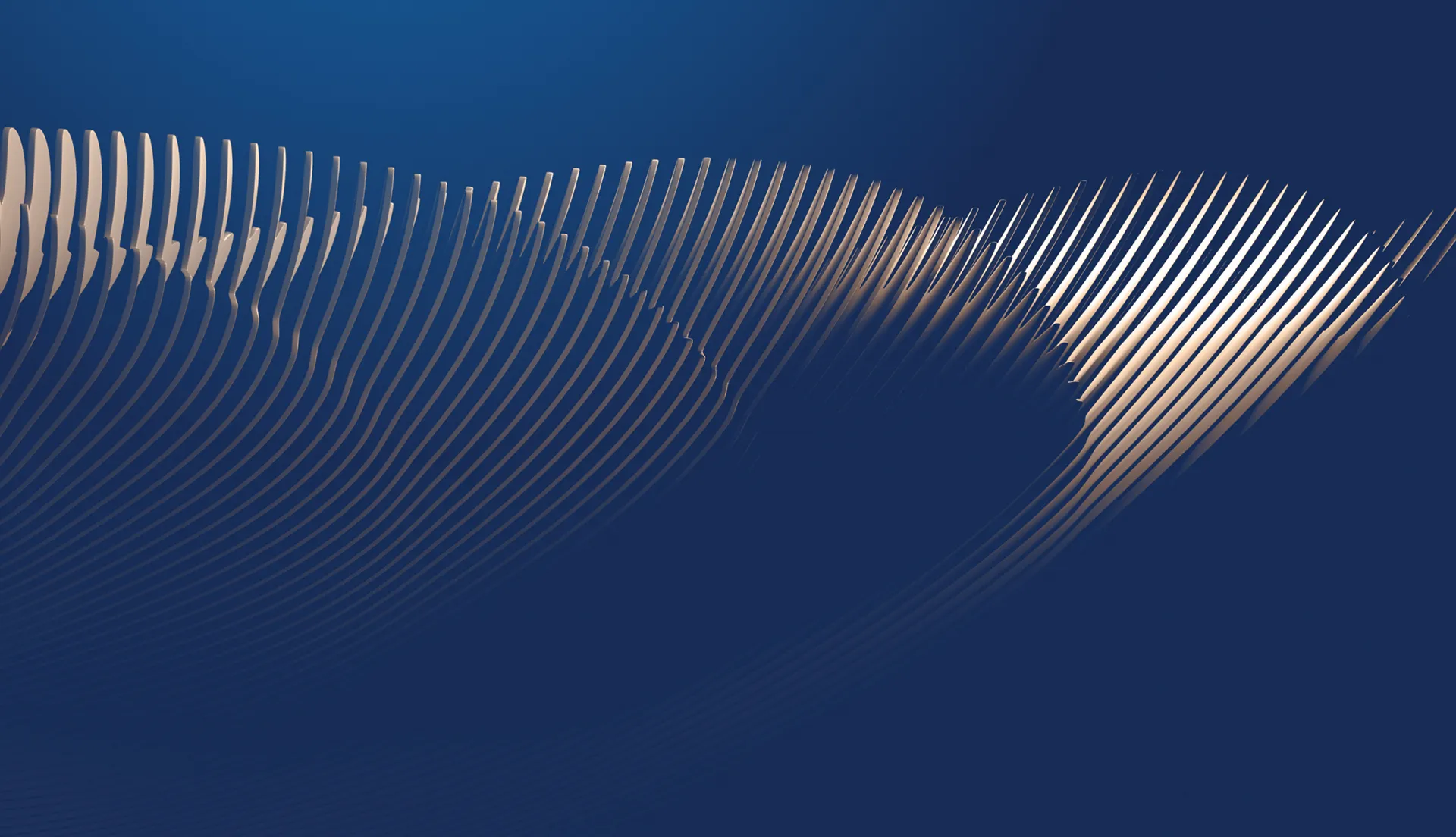 banner1-fin2